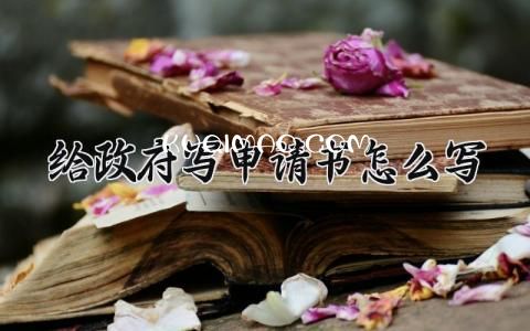 给政府写申请书怎么写 申请书给政府怎么写范文 (12篇）