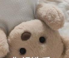 燃燃不可以是什么意思
