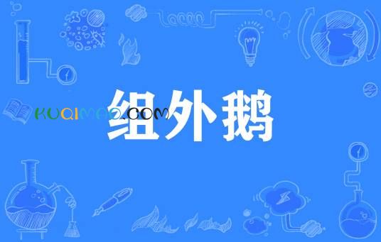 组外鹅