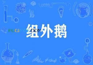 组外鹅是什么意思