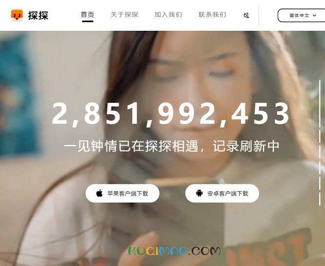 探探网站截图