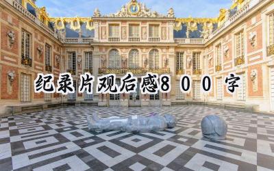 纪录片观后感800字怎么写 (8篇）