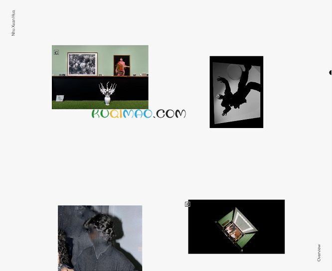 Nhuxuanhua网站截图