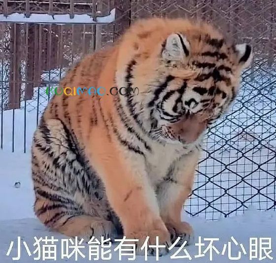 能有什么坏心眼呢