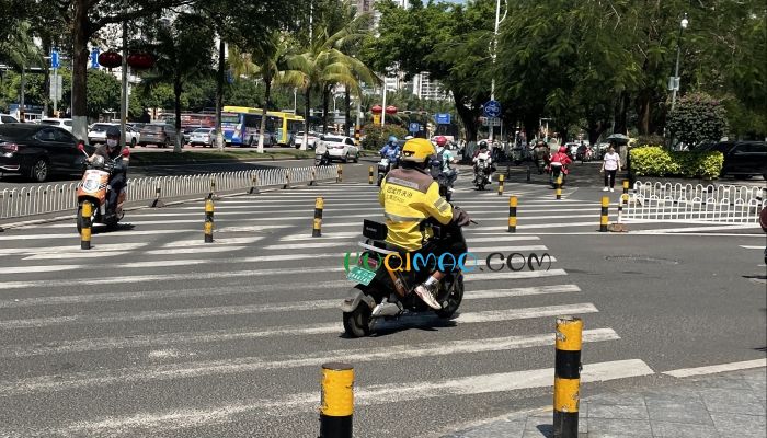 外卖员抓猫从26楼扔下 网友：必须严惩