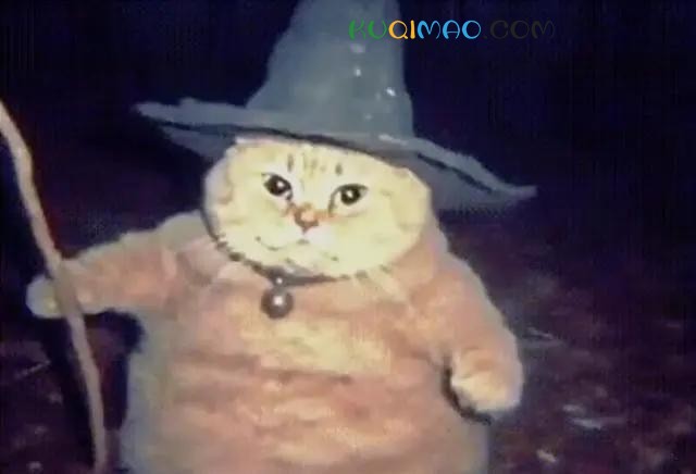 魔法猫猫