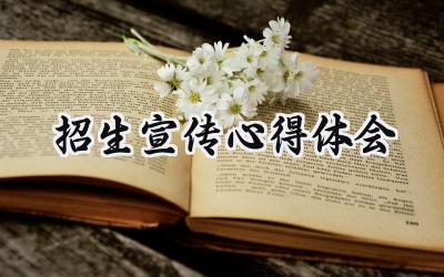 招生宣传心得体会大学生怎么写 (8篇）