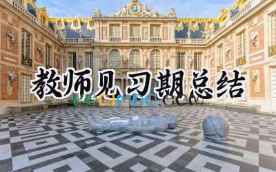 教师见习期总结怎么写 (13篇）
