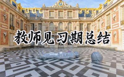 教师见习期总结怎么写 (13篇）