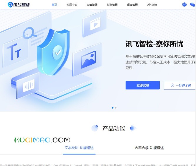 讯飞智检网站截图