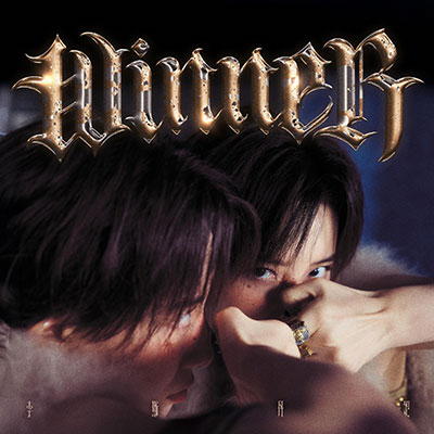 Winner歌词 - 李斯丹妮