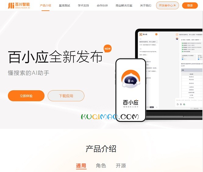 百川大模型网站截图