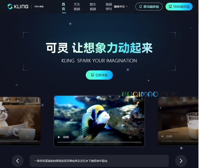 可灵大模型网站截图