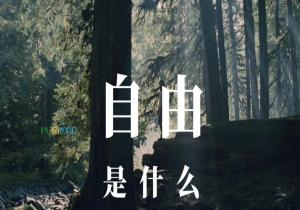 无规则 自由生是什么意思