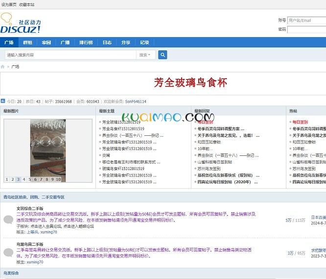 青鸟网网站截图