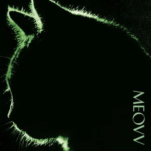 TOXIC歌词 - MEOVV