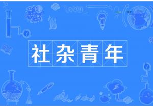 社杂青年是什么意思