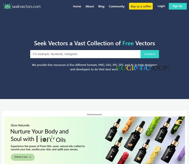 Seekvectors网站截图