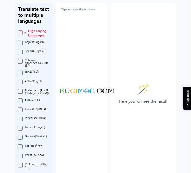 Web Bulk Translator网站截图