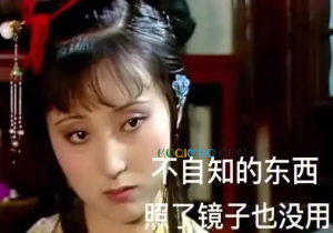 黛玉文学是什么意思