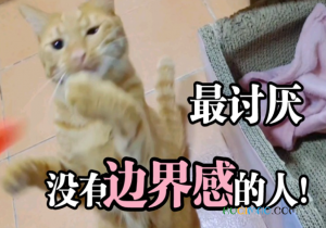 讨厌没有边界感的人是什么意思