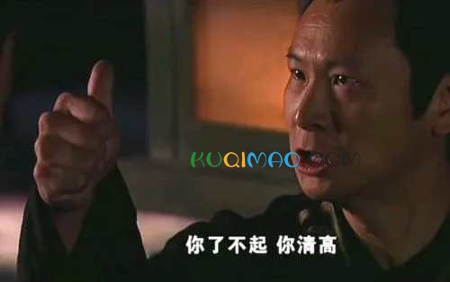 你了不起你清高