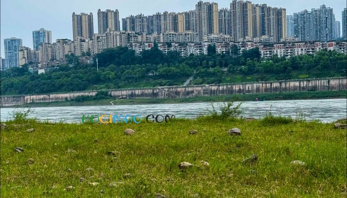 老人在河边“放生”大米 如此浪费不心疼吗？