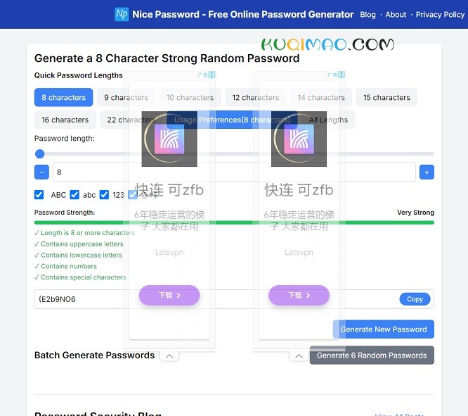 Nice Password网站截图