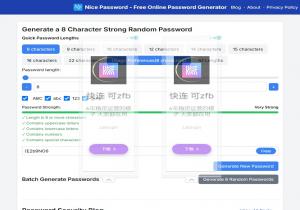 Nice Password