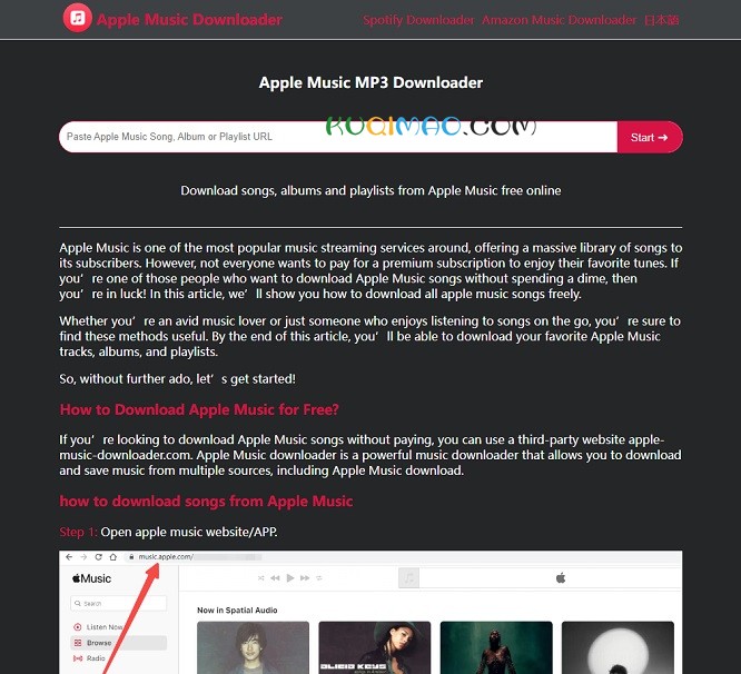 Apple Music Downloader网站截图