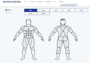 musclewiki