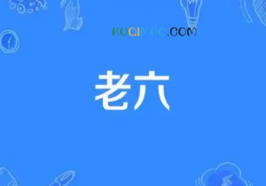 这个老六我真的是服了是什么意思