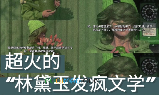 黛玉发疯文学