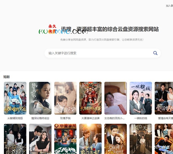 迅搜网站截图