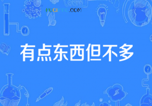 有点东西但不多是什么意思