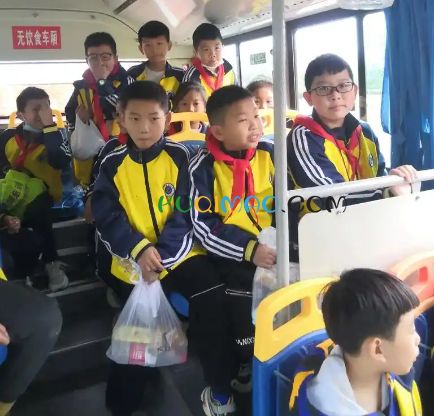 橘黄沙糖桔