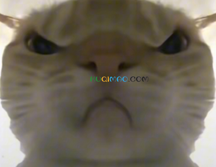 鼠鼠猛攻