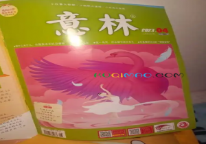 意林回旋镖是什么意思