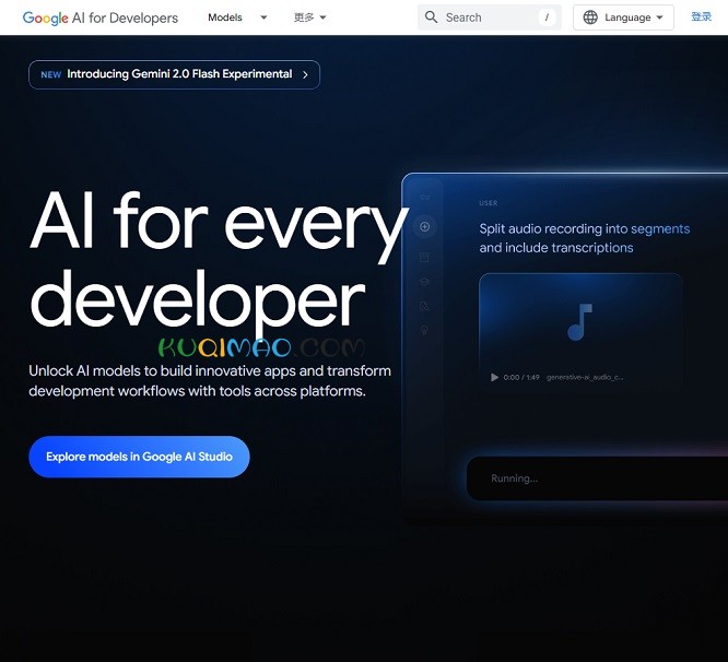 Google AI Studio网站截图