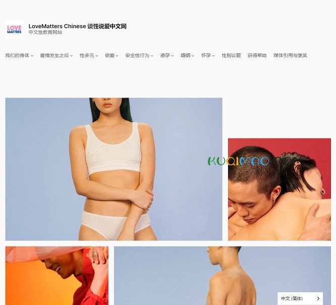 谈性说爱中文网网站截图