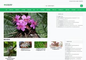 花卉图片网