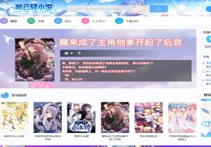 鲸云轻小说网