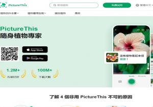 PictureThis