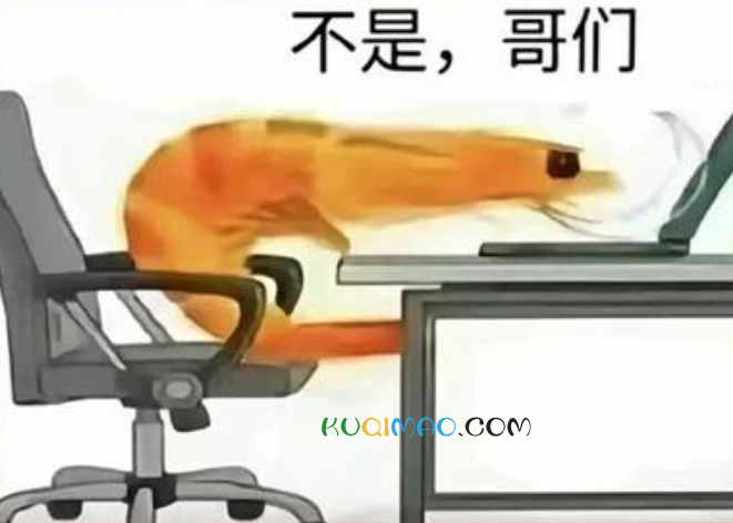 不是哥们