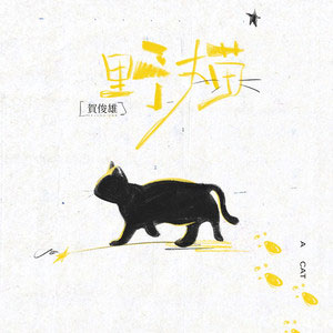 野猫歌词 - 贺俊雄