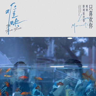 只在今夜(电视剧《难哄》自愈曲)歌词 - 毛不易