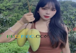 芒果人是什么意思