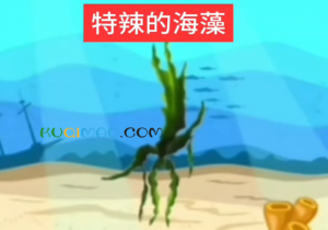 特辣的海藻是什么意思