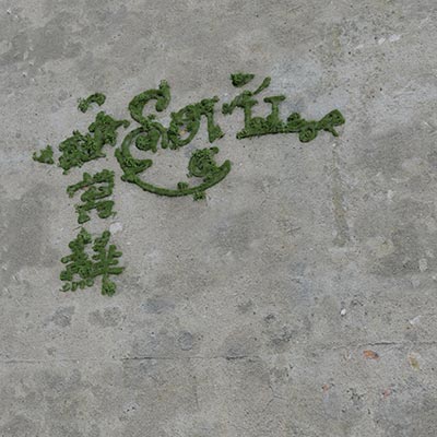 苔藓歌词 - ksovii