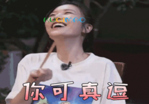 您可真豆是什么意思